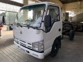 Brand New Isuzu Elf 2019 Truck for sale in Pasay -1