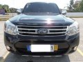 2015 Ford Everest for sale in Quezon City-8