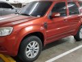 2013 Ford Escape for sale in Taguig -6