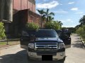 2010 Ford Expedition at 14000 km for sale in Quezon City -6