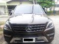 Used 2014 Mercedes-Benz Ml-Class for sale in Quezon City -0