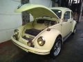 1975 Volkswagen Beetle for sale in Taguig-0