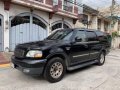 2002 Ford Expedition for sale in Manila-9