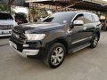 2016 Ford Everest for sale in Mandaue -3