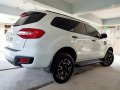 Ford Everest 2016 for sale in San Pascual-3