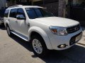 Ford Everest 2014 for sale in Quezon City-6