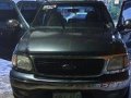 Blue Ford Expedition 2003 Automatic Gasoline for sale -9