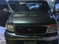 Blue Ford Expedition 2003 Automatic Gasoline for sale -0