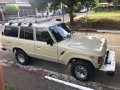 Toyota Land Cruiser 1981 for sale in Parañaque -8