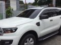 2016 Ford Everest for sale in Quezon City-0