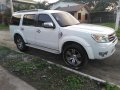 2013 Ford Everest for sale in Angeles -6