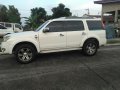 2013 Ford Everest for sale in Angeles -4