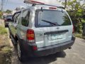 Used Green Ford Escape 2004 Automatic Gasoline at 47000 km for sale  in Manila-6