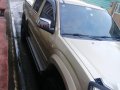 2008 Isuzu D-Max for sale in Malolos-3