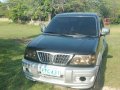 2001 Mitsubishi Adventure for sale in Iloilo City-5