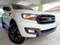Ford Everest 2016 for sale in Batangas City-0