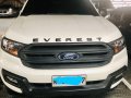 Ford Everest 2016 for sale in Manila-0