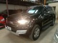 2017 Ford Everest for sale in Quezon City -3