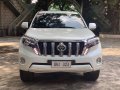 2014 Toyota Land Cruiser Prado for sale in Isabel-1