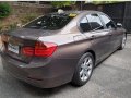 2014 Bmw 3-Series for sale in Pasig -2