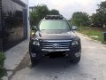 2013 Ford Everest for sale in Guagua-2
