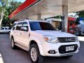 2014 Ford Everest for sale in Lemery-2