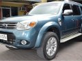 2015 Everest Ford for sale in Pasig -3