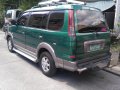 2007 Mitsubishi Adventure for sale in Cainta -6