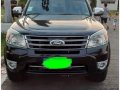 2013 Ford Everest for sale in Malabon -3