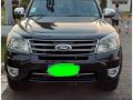 2013 Ford Everest for sale in Malabon -0