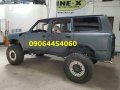 2009 Nissan Patrol for sale in Las Piñas-6