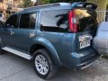 2015 Ford Everest for sale in Cebu City -3