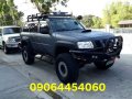 2009 Nissan Patrol for sale in Las Piñas-9