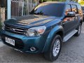 2015 Ford Everest for sale in Cebu City -1