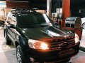 2009 Ford Escape for sale in Pasig -0