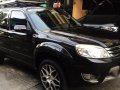 2009 Ford Escape for sale in Pasig -3