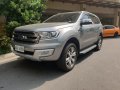 2017 Ford Everest for sale in Pasig -8