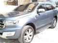 2016 Ford Everest for sale in Pateros-2