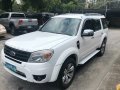 2013 Ford Everest for sale in Pasig -1