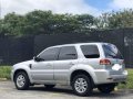 Ford Escape 2010 for sale in Parañaque-3