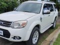 2nd-hand Ford Everest 2013 for sale in Quezon City-0