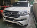 Sell 2019 Toyota Land Cruiser in Quezon City-7