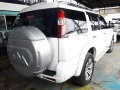 2011 Ford Everest for sale in Parañaque -4