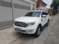 2016 Ford Everest for sale in Mandaluyong -7