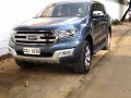 2016 Ford Everest for sale in Pateros-2