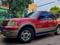 2003 Ford Expedition for sale in Manila-3