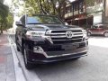 2019 Toyota Land Cruiser for sale in Valenzuela-5
