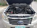 Sell Silver 2010 Ford Everest in Cebu -5