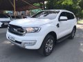 2016 Ford Everest for sale in Manila-6