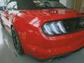 Brand New 2019 Ford Mustang Low Down Payment-0